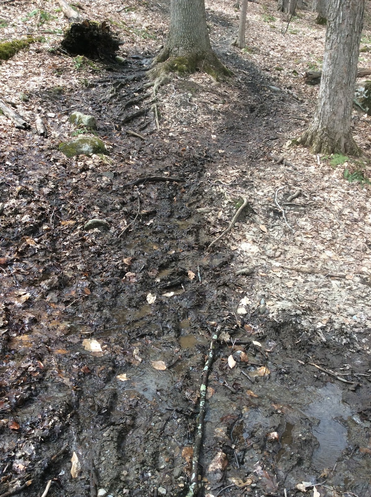Mud Season Hiking 101