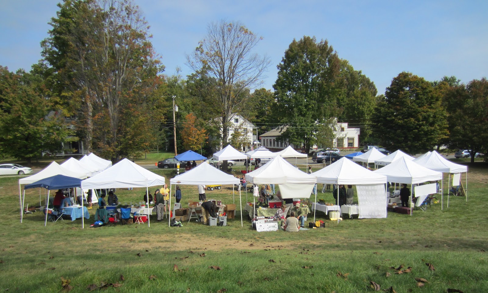 Herbal Medicine Box Farm to Pharmacy Intensive