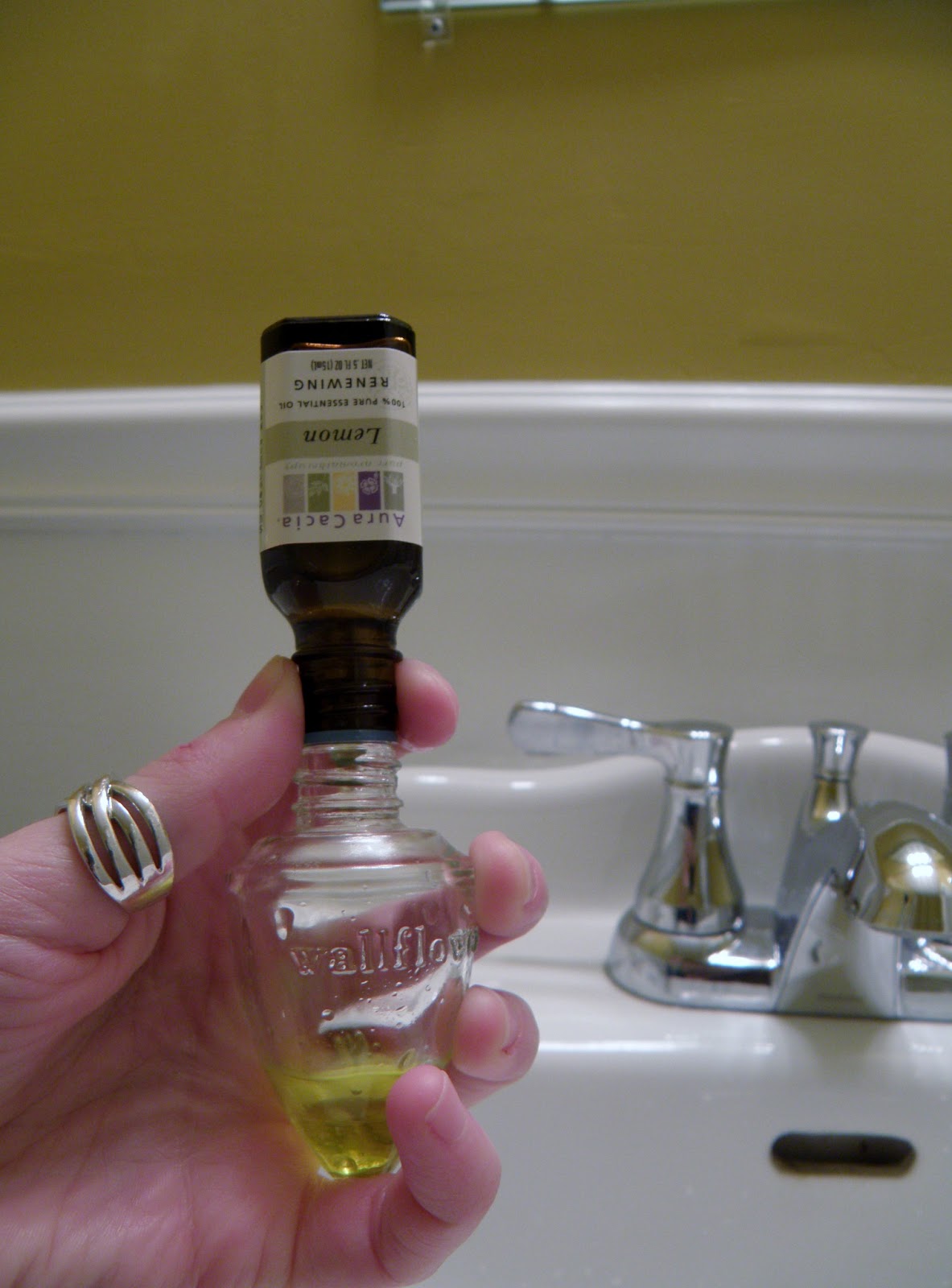 Felicity Defined DIY Fragrance PlugIn