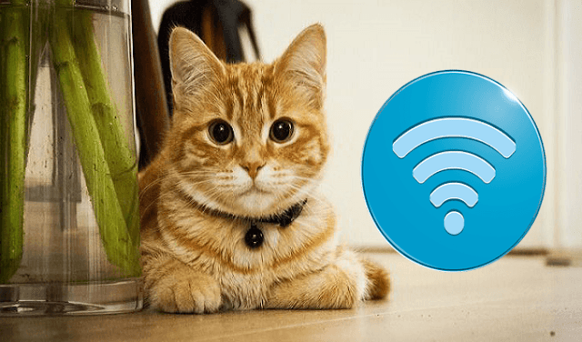كيف تقوم بإختراق واي فاي جيرانك Wi-Fi عن طريق قطك فقط !