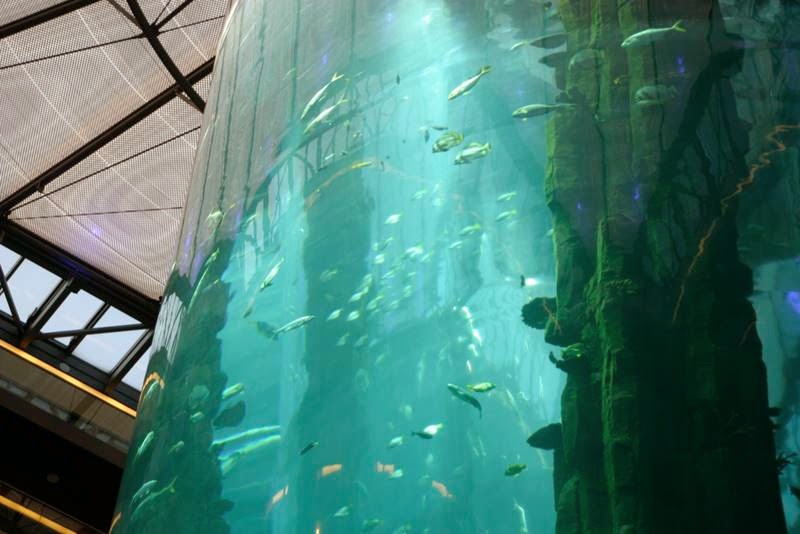 World's Largest Cylindrical Aquarium in Berlin, Germany