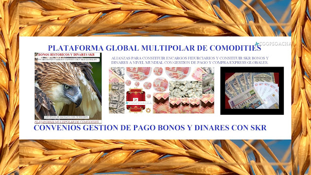 Resultado de imagen para SKR BONOS Y DINARES
