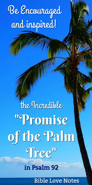 Psalm 92 gives us an incredible promise. This 1-minute devotion shares a true story of some 2000-year-old Palm seeds and a true story of faithfulness.
