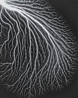 HIROSHI SUGIMOTO, 'TALBOTIZED 011', 2012