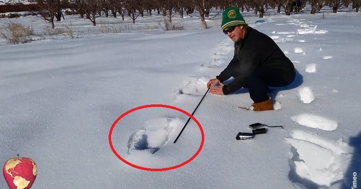 The Fortean Slip: Sasquatch on Sunnyslope? Trackway Found!