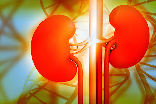 acupuncture and kidneys