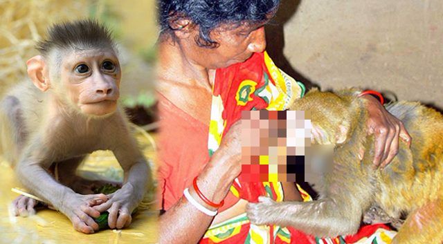 Tak Punya Anak, Wanita Ini Adopsi Tak Punya Anak, Wanita Ini Adopsi