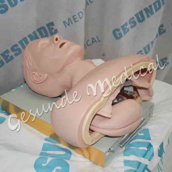 dimana beli manekin simulasi intubasi