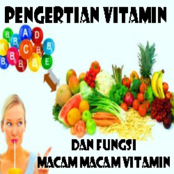 Pengertian Vitamin dan Fungsi Macam macam Vitamin