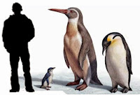Resultado de imagen para pinguinos eoceno