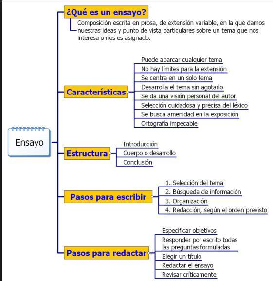 Ensayo estructura