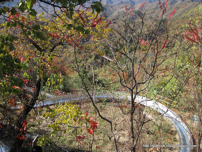 Tobogán para bajar de la Muralla China