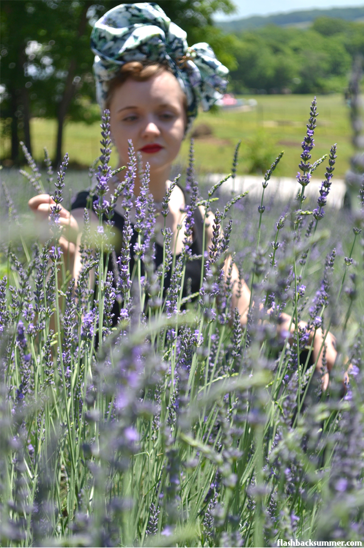 Flashback Summer: Lavender Falls Farm - Clever, Missouri