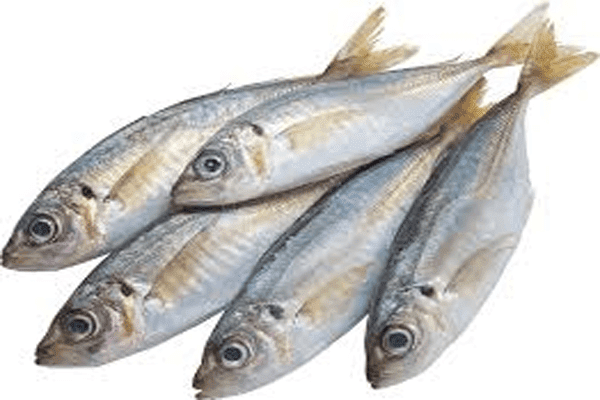 Manfaat Makan Ikan Laut untuk Kesehatan dan Kecerdasan