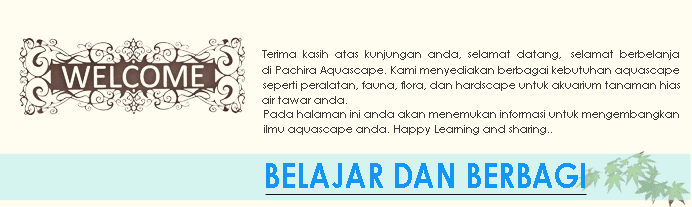 logo-Welcome-Belajar-dan-Berbagi