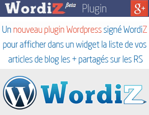 plugin wordiz pour wordpress - blogueur et social influence top articles - christophe vieira