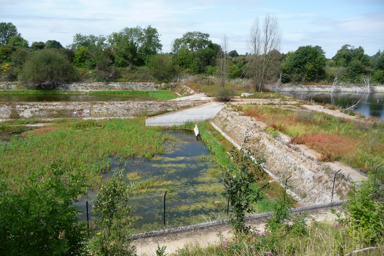 Seething Wells Drainage of the Filter Beds, 2011