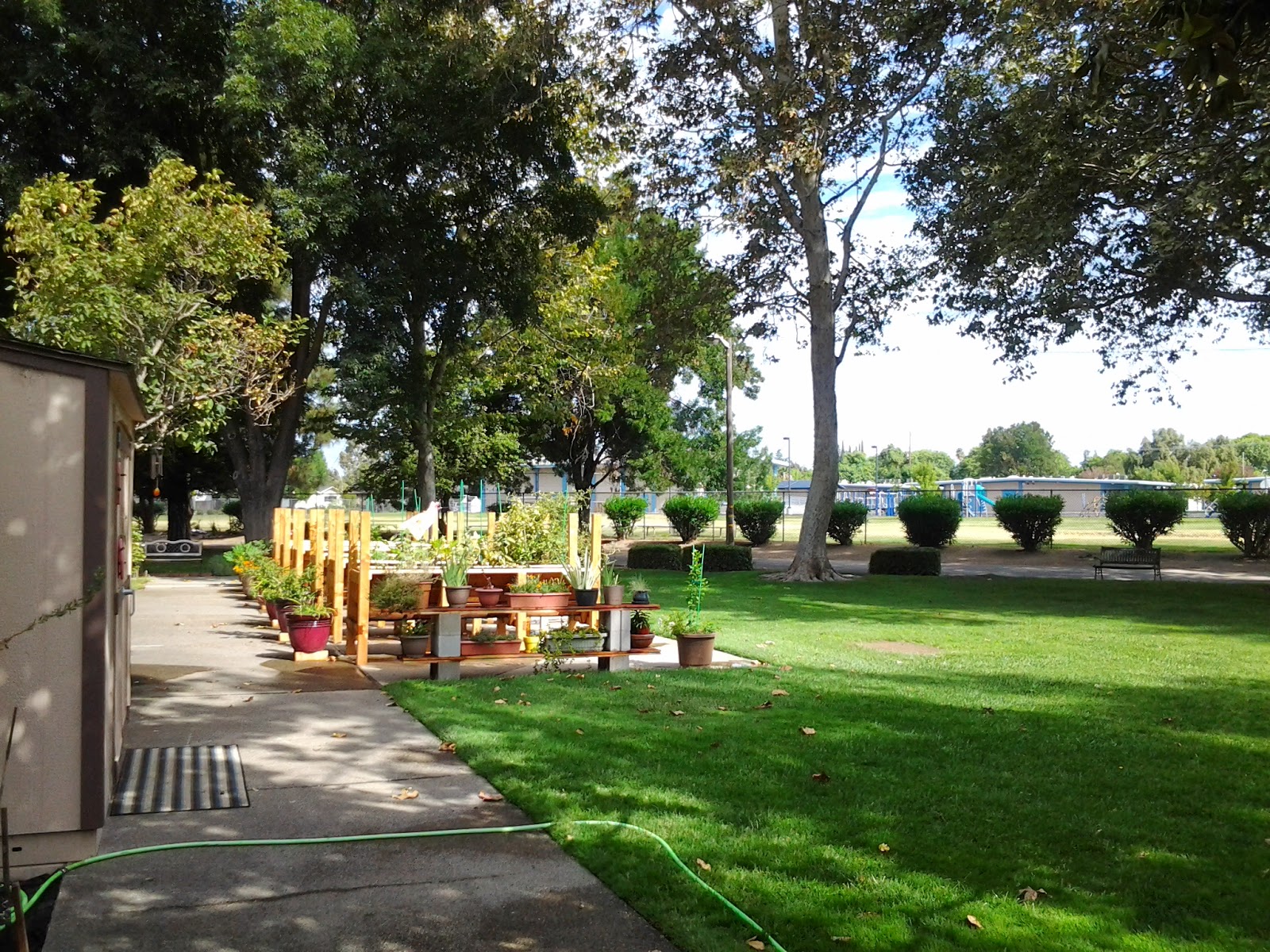 RAISED GARDEN BOXES FOR THE ELDERLY