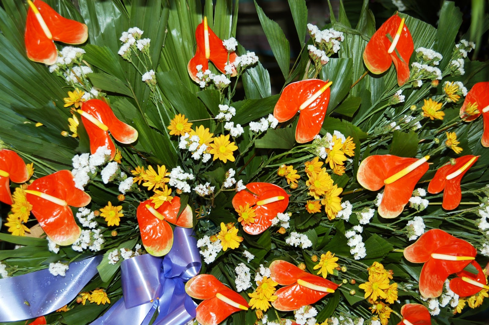 Our Mission to the Philippines March 2011