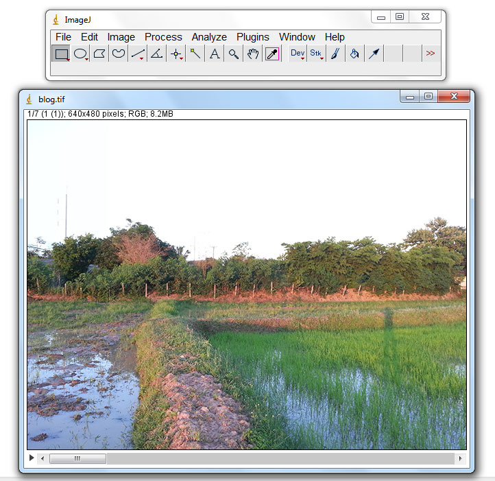 My imageJ เมนู Image with ImageJ [ตอนที่ 36] Stacks tools, จัดการกลับด้านของ slice ใน stack