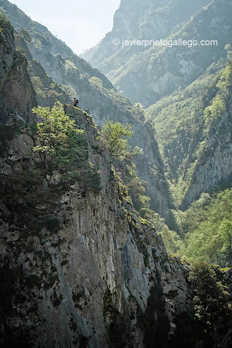 El camino bordea espectaculares cortados en el recorrido por el desfiladero de Las Xanas. Asturias. España. © Javier Prieto Gallego