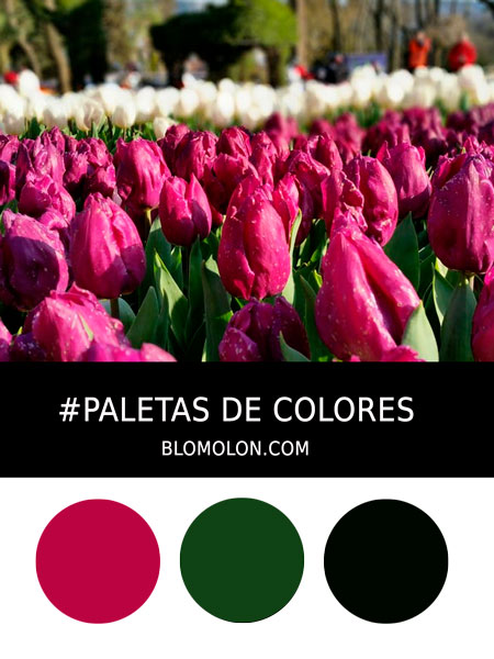 paletas de colores del mes de abril 4 paletas_de_colores_mes_de_abril_4