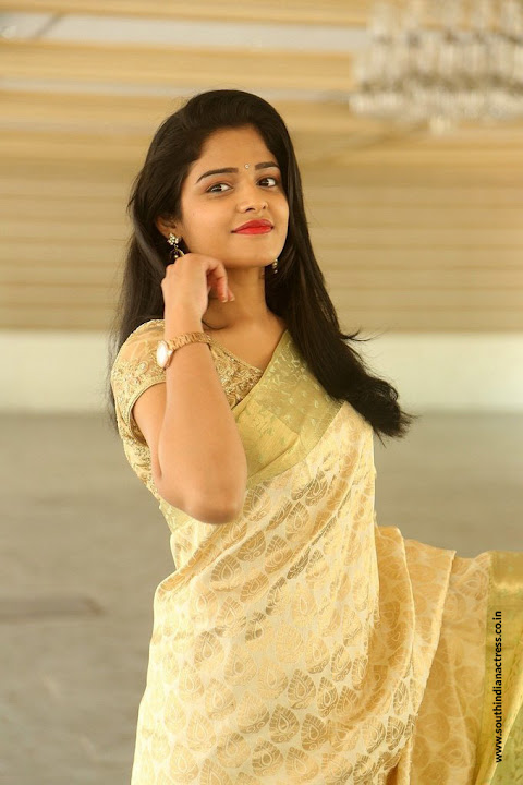 Harshita at Silk India Expo 2017 Launch