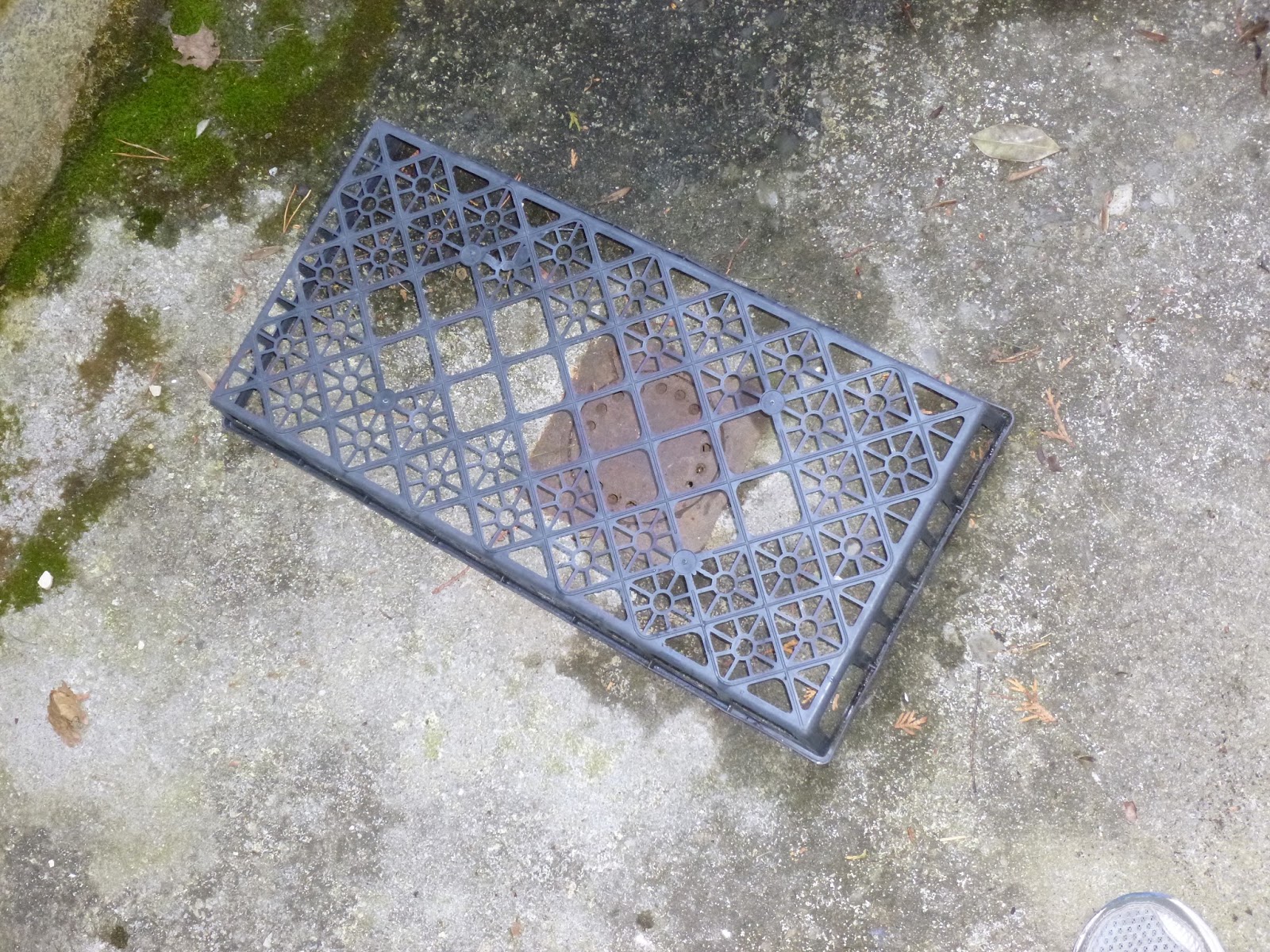 REFLECTIONS Prevent Leaves from Clogging My Drain