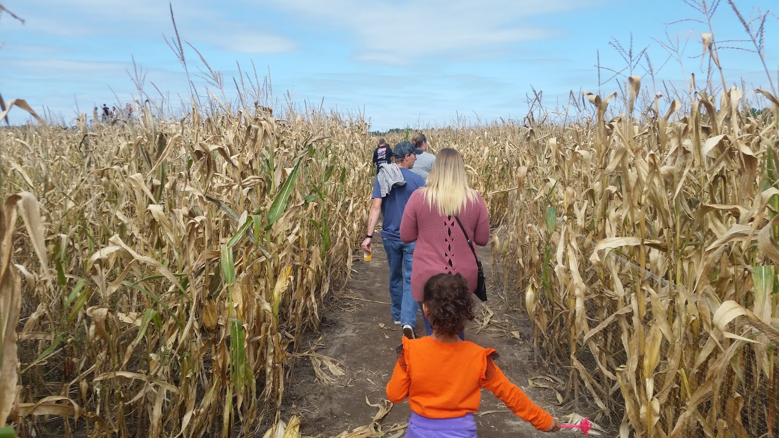 Cranberry County A Visit To Sauchuk Farm In Plympton