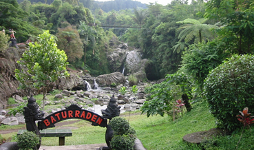 ali lanus bayam OBJEK WISATA BATURADEN BANYUMAS JAWA ali lanus bayam OBJEK WISATA BATURADEN BANYUMAS JAWA