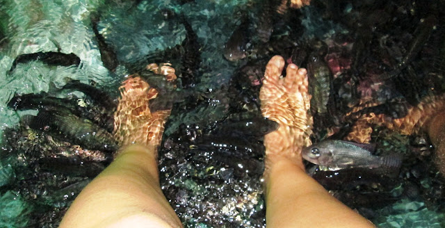 Mis pies entre pececillos Peces