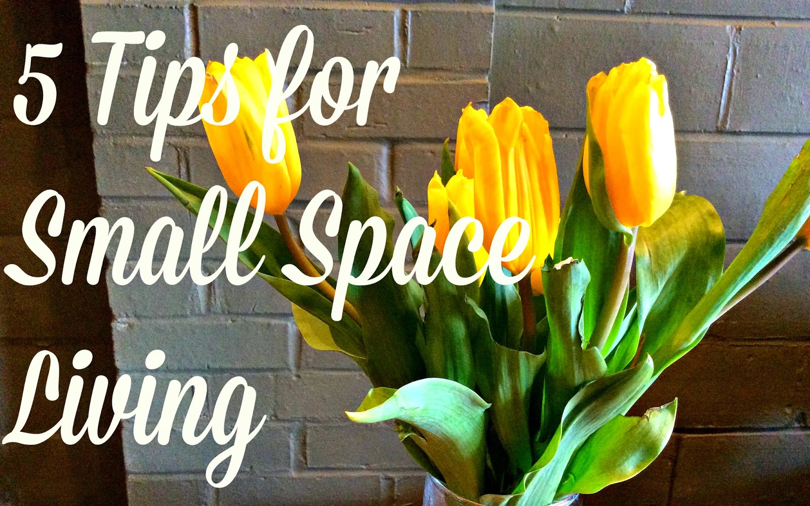 Simply Liv: 5 Tips for Small Space Living