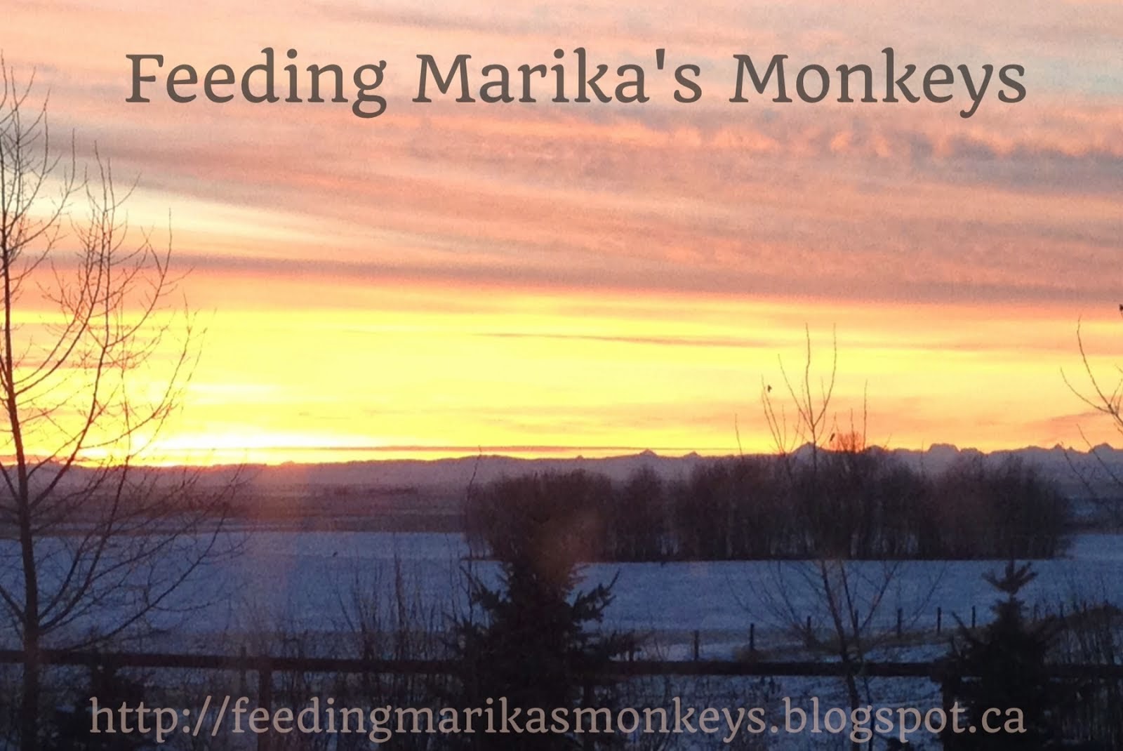 Feeding Marika's monkeys