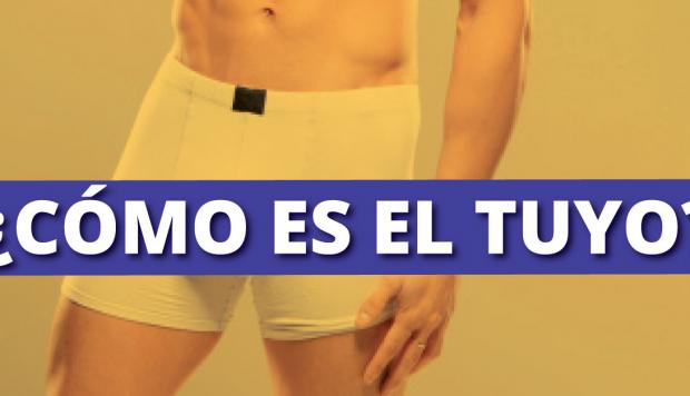 pene promedio en naciones en erección