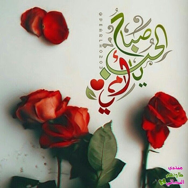 ورود جميلة مع كلام جميل