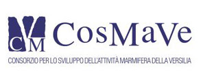 Cosmave - Pietrasanta (Lu) Toscana Italia