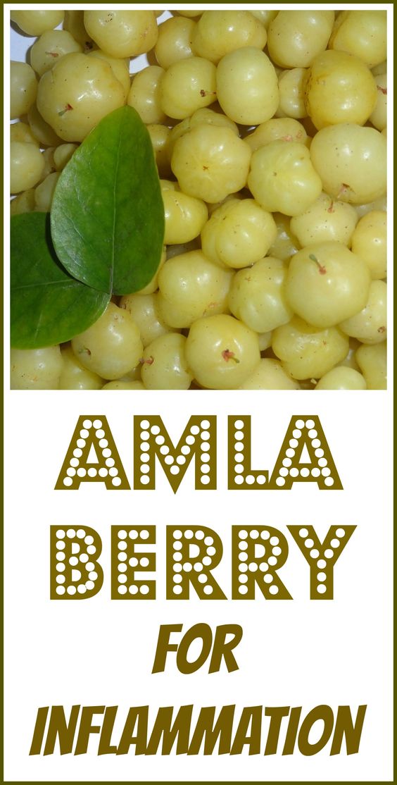 How to Grow Amla Tree, Growing Amla Indian Gooseberry Everything