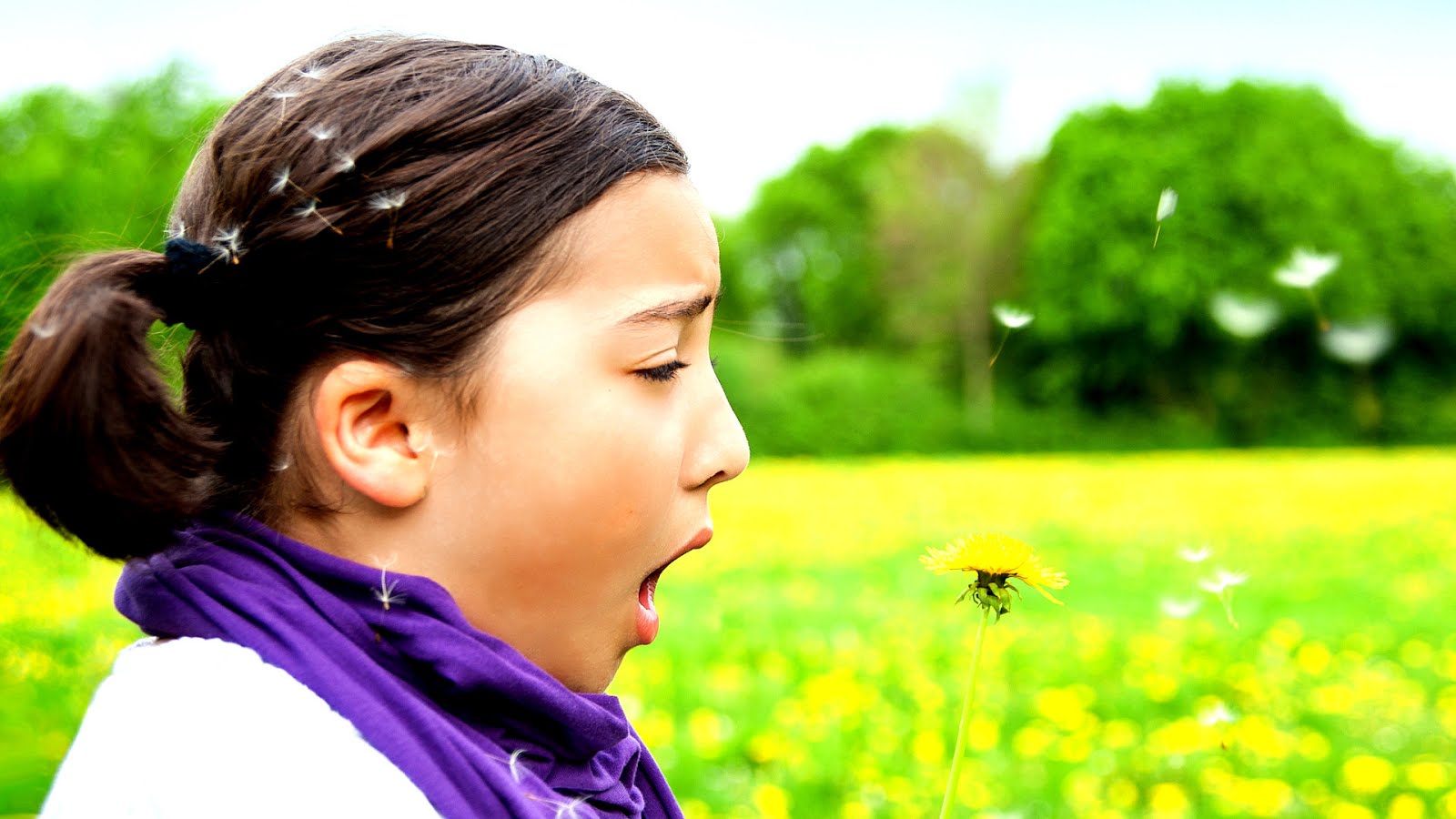 Zyrtec Side Effects Children Effect Choices