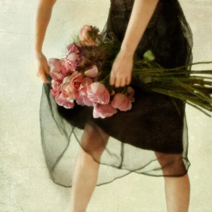 Miriana Mitrovich | Bulgarian-born Canadian photographer | Four Dozen Roses Miriana Mitrovich | Bulgarian-born Canadian photographer