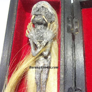 Azimat Jenglot Asli, kegunaan jenglot atau batara karang, harga batara karang asli, batara karang asli dan palsu, perbedaan jenglot dan batara karang, khasiat jenglot, ciri ciri batara karang asli, cara membedakan jenglot asli dan palsu, asal usul batara karang Jenglot