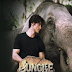 Junglee Movie 1st day(Opening Day) Boxoffice Prediction