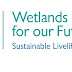 World Wetland Day Themes