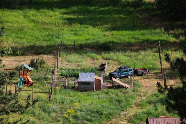 Down by the Creek: Electric fencing for the pigs