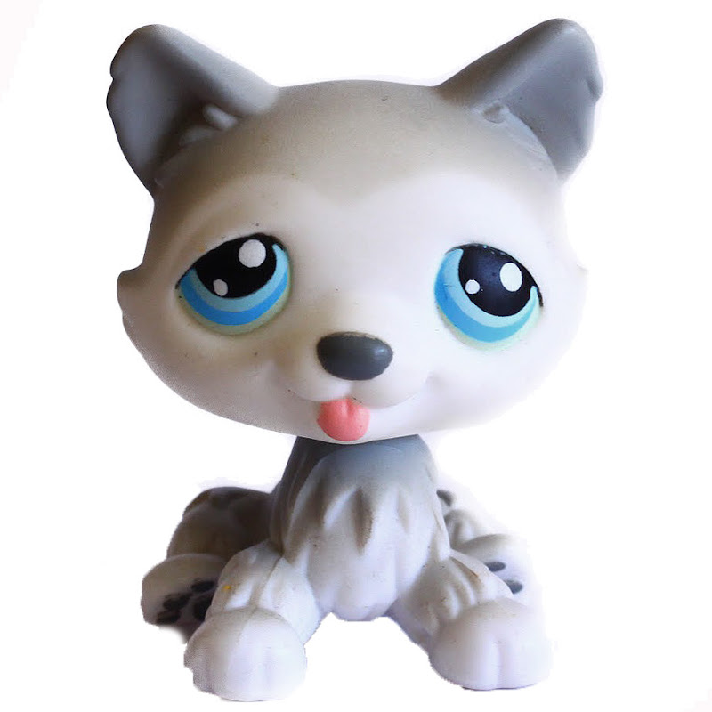 Littlest Pet Shop Small Playset Husky (#70) Pet | LPS Merch