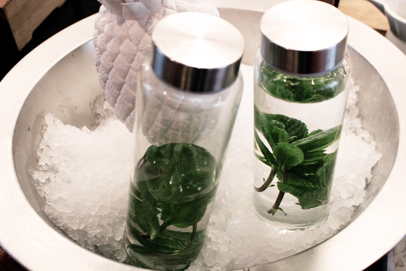 Water with mint leaves Cylinders of water with mint leaves
