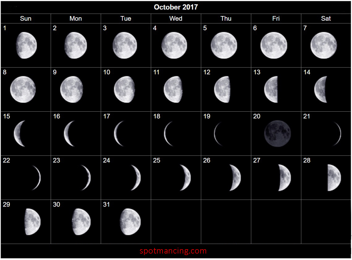 12 новолуний. Фаза Луны октября 2008 года. Растущая Луна 12 лунный день. Растущая Луна первая фаза. Растущая Луна 11 лунный день.