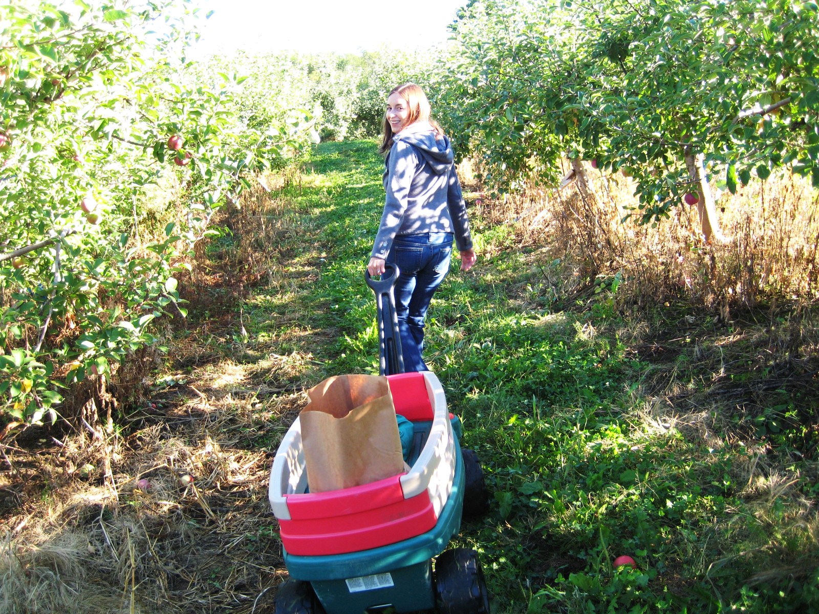 Heart Maine Home Apple picking {Maine Monday 6}