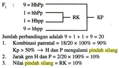 Contoh Soal Dan Pembahasan Pautan Dan Pindah Silang Contoh Soal Terbaru