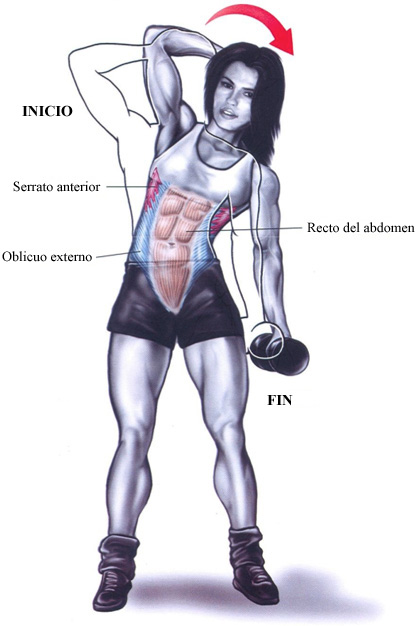 ejercicios para flexion de tronco