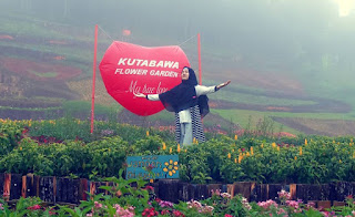 Lokasi Dan Tiket Masuk Kutabawa Flower Garden Purbalingga